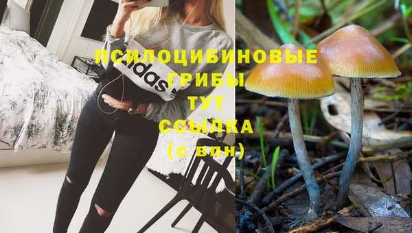 первитин Богородск