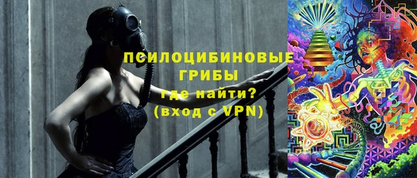 первитин Богородск
